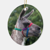 Llama Superiority Keramisch Ornament (Links)