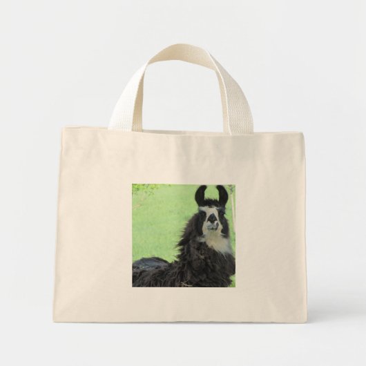 Llama-tas Mini Tote Bag (Voorkant)