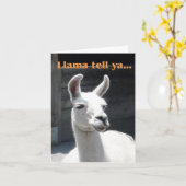 "Llama Tell Ya" Glimlachende Llama Blank Note Kaar Kaart (Gele Bloem)