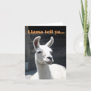 "Llama Tell Ya" Llama Blank Opmerkingskaart glimla Kaart