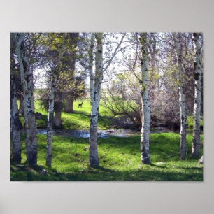 Llama Tussen Bomen Poster