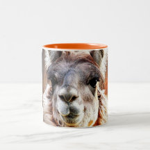 Llama
