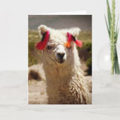 Llama, verjaardag kaart (Voorkant)