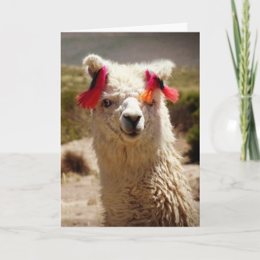Llama, verjaardag kaart (Voorkant)