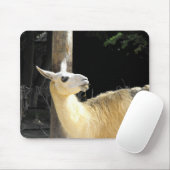 Llama-voeding Muismat (Met muis)