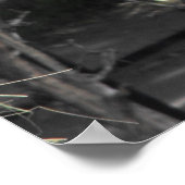 Llama-voeding Poster (Hoek)