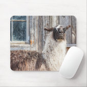Llama voor een schuur muismat (Met muis)