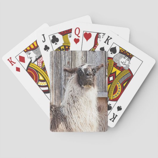 Llama voor een schuur speelkaarten (Achterkant)