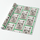 Llama-Waterverf die papier met alpaca-glimlachen p (Uitgerold)