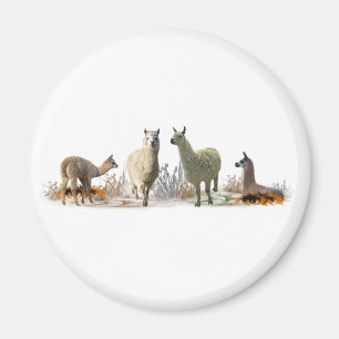 Llama Weide Maan (kies kleur) Magneet