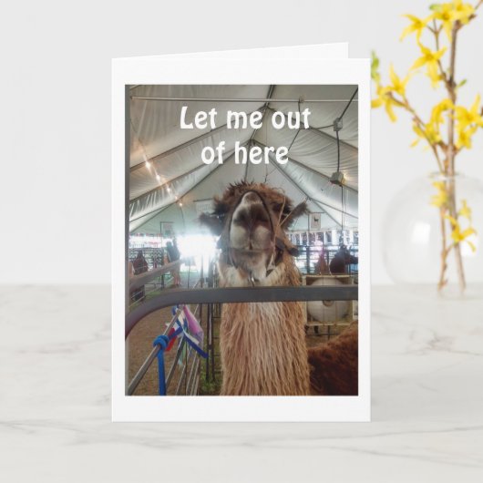 LLAMA WIL ERUIT ZODAT HIJ UW BIRTHDAAG KAN BEVELEN KAART (Gele Bloem)