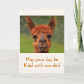 Llama Wonder Birthday Kaart (Voorkant)