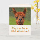Llama Wonder Birthday Kaart (Gele Bloem)