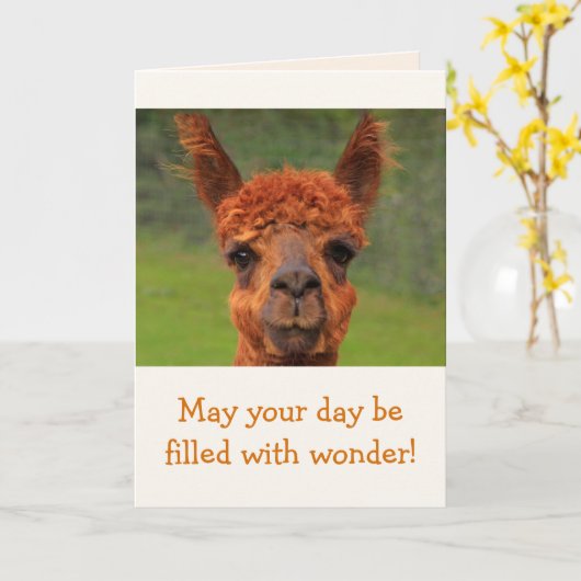 Llama Wonder Birthday Kaart (Gele Bloem)