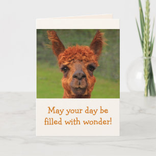 Llama Wonder Birthday Kaart