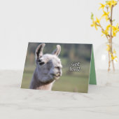 Llama wordt gezond | Get Well Soon Llama Kaart (Gele Bloem)