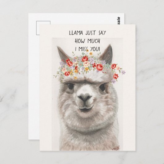 Llama zeg gewoon hoeveel ik je Briefkaart MIST (Voorkant / Achterkant)