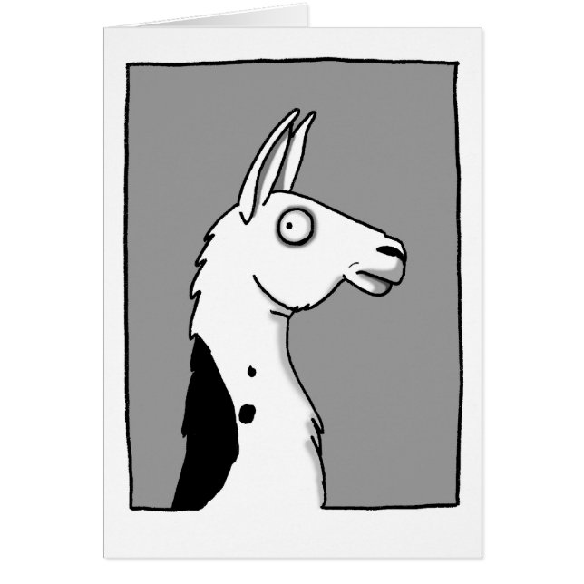 LlamaLlama (Voorkant)