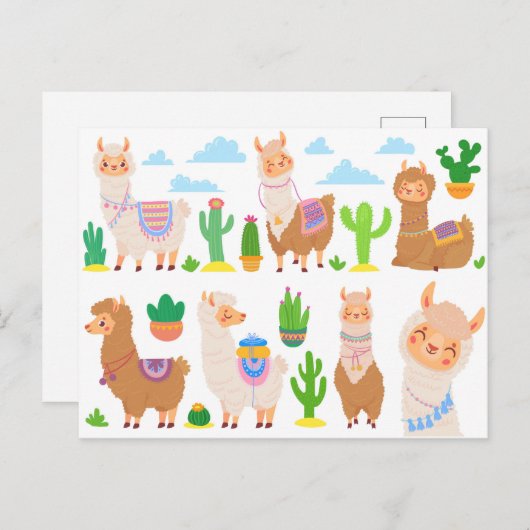 Llamas Briefkaart (Voorkant / Achterkant)