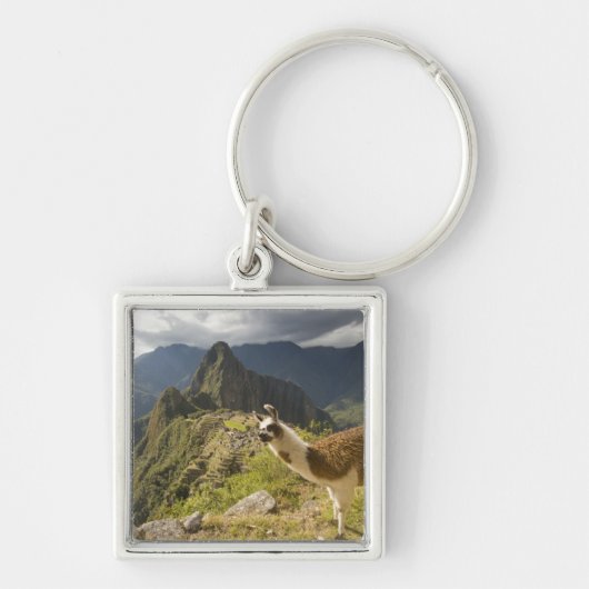 Llama's en een uitzicht op Machu Picchu, Sleutelhanger (Voorkant)