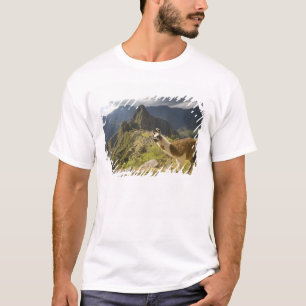 Llama's en een uitzicht op Machu Picchu, T-shirt