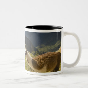 Llama's en een uitzicht op Machu Picchu, Tweekleurige Koffiemok