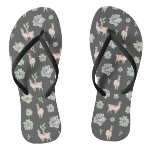 Llamas in de woestijn met cacti en amaryllis teenslippers