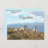 Llamas in Humahuaca Argentina Briefkaart (Voorkant / Achterkant)