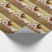 Llamas met Baby ria Cadeaupapier (Hoek)