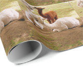 Llamas met Baby ria Cadeaupapier (Rol Hoek)