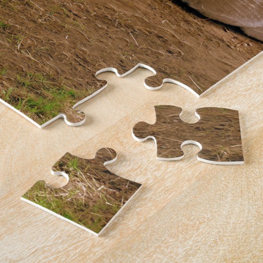 Llamas met Baby ria Legpuzzel (Zijkant)