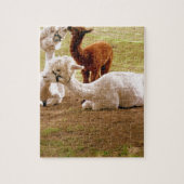 Llamas met Baby ria Legpuzzel (Verticaal)
