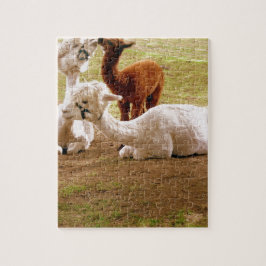 Llamas met Baby ria Legpuzzel