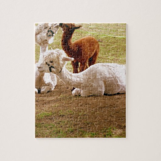 Llamas met Baby ria Legpuzzel (Verticaal)