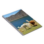 Llamas Notitieboek (Rechterzijde)