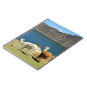 Llamas Notitieboek (Linkerzijde)