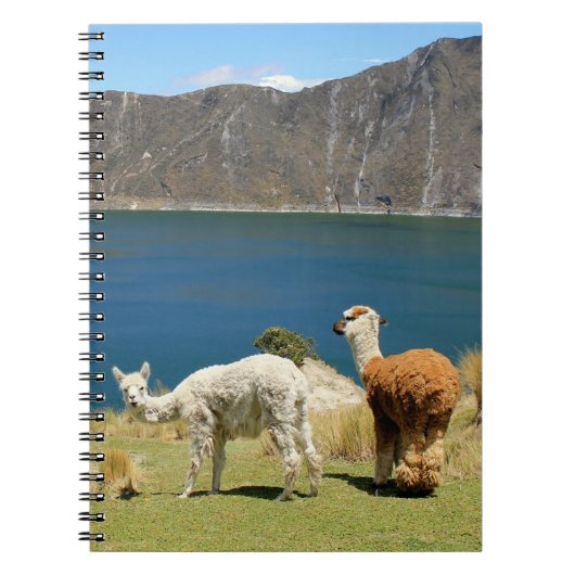 Llamas Notitieboek (Voorkant)