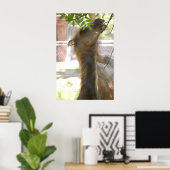 Llamas Poster (Thuiskantoor)