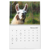 Llamas Wall Agenda Kalender (Feb 2027)