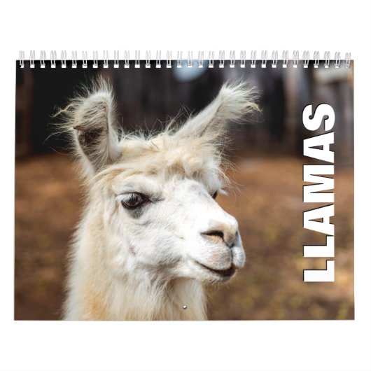Llamas Wall Agenda Kalender (Hoes)
