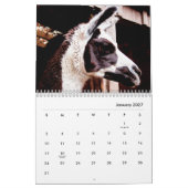 Llamas Wall Agenda Kalender (Jan 2027)