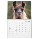 Llamas Wall Agenda Kalender (Mar 2026)