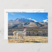 Llamitas en el Salar de Uyuni, Bolivia. Briefkaart (Voorkant / Achterkant)