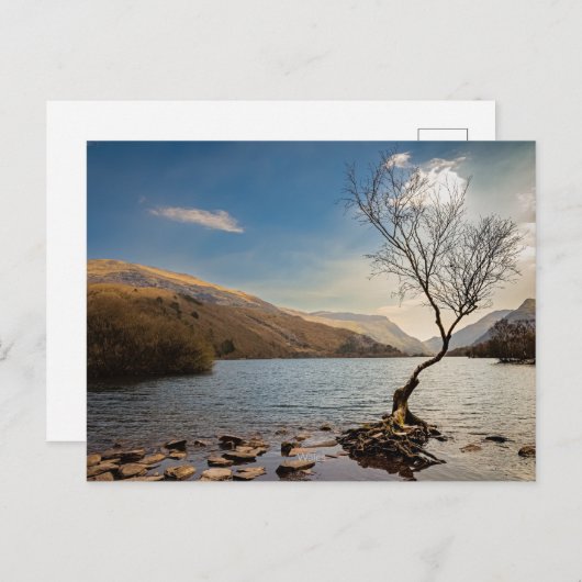 Llanberis, Wales Briefkaart (Voorkant / Achterkant)