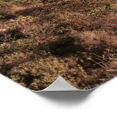 Llandudno Beach: Kaapstad Kustzonsondergang Poster (Hoek)