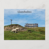 Llandudno - Great Orme Briefkaart (Voorkant)
