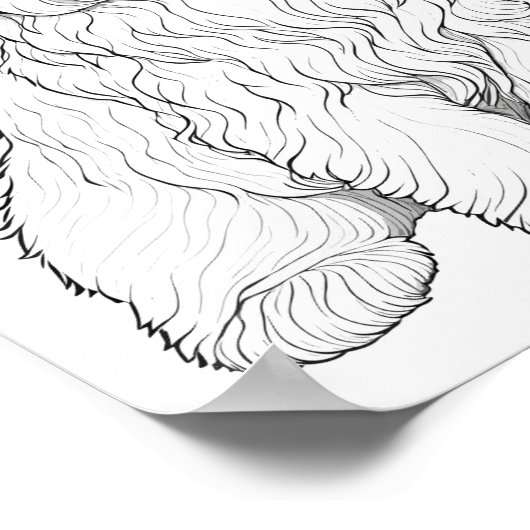 Llasa ook hond volwassen kleuring poster (Hoek)