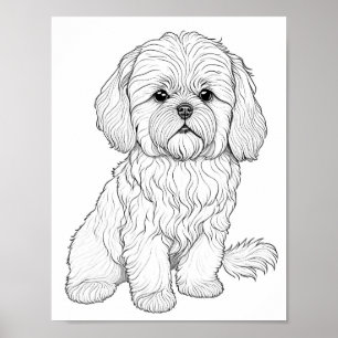 Llasa ook hond volwassen kleuring poster