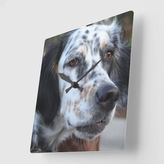 Llewellin Setter Wall Clock Vierkante Klok (Hoek)