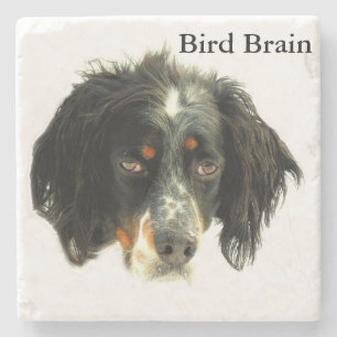 Llewellyn Setter Bird Brain Stenen Onderzetter